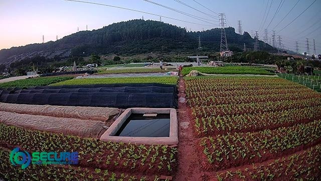 Capturing the Beauty of the Night