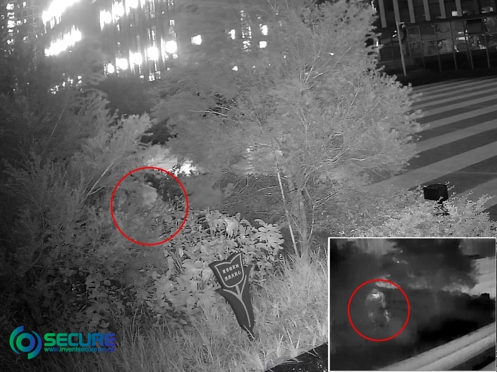 Why Choose a Box Thermal Camera?