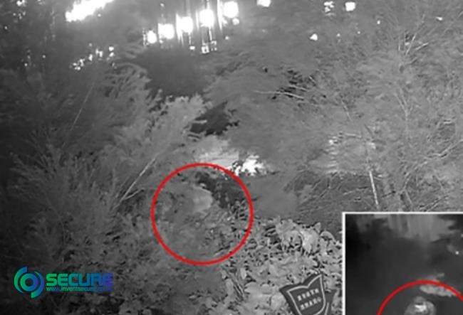 Why Choose a Bullet Thermal Camera?